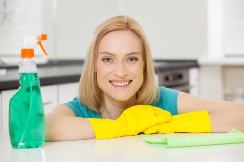 Detailed carpet cleaning process with careful fibre assessment