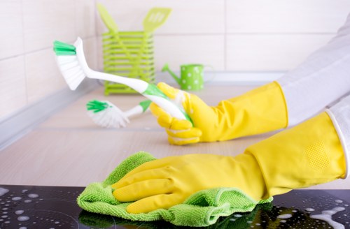 Professional pet stain odour removal on a carpet in St Giles